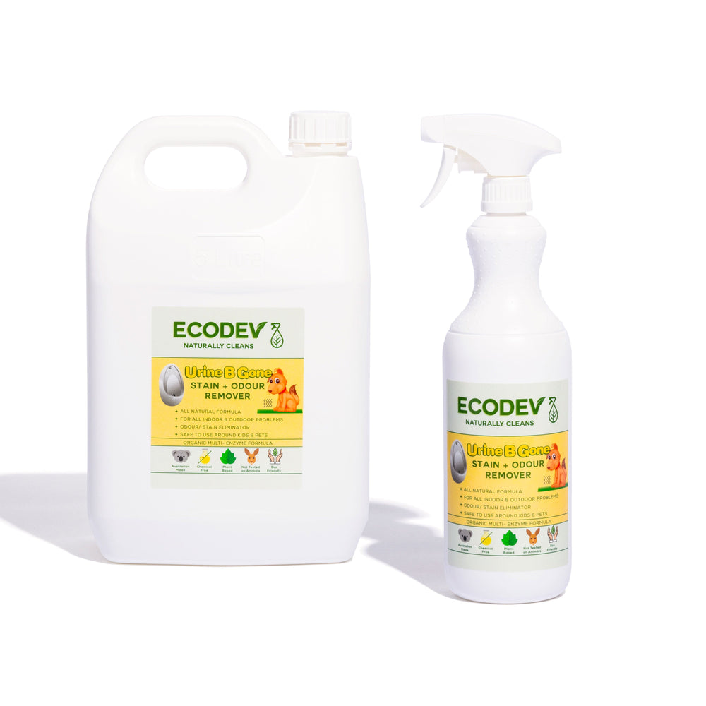 Ecodev Urine Stain & Odour Remover 5L + 1L